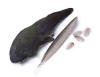 Moorhen-Waterhen Veniard Whole Wings | CzechNymph.com